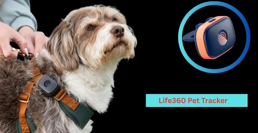 Life360 Pet Tracker: Cutting-Edge GPS and Smart Monitoring Solutions for Ensuring Real-Time Safety, Location Accuracy, and Complete Peace of Mind