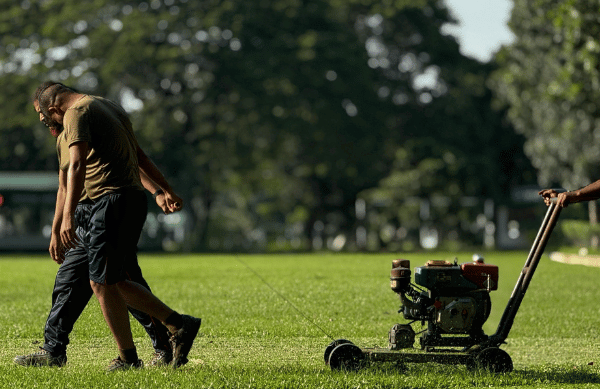 Lawn Aerator Guide: Fix Compacted Soil and Achieve Professional-Quality Grass for Strong Roots and Greener Lawns, and Much More Info